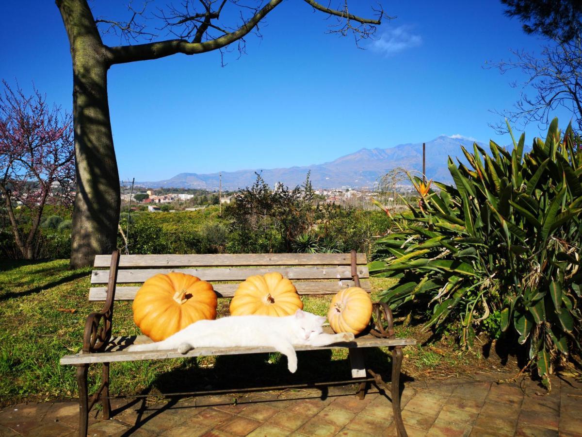 Saja Country House Acireale Exterior foto